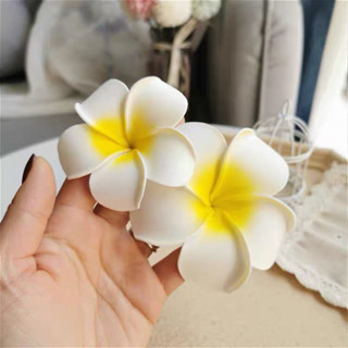 Kẹp Tóc Hoa Sứ Đi Biển Giá Tốt Tháng 10, 2023 | Mua Ngay | Shopee Việt Nam