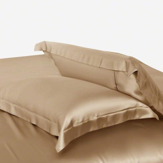 🧧RẺ ĐẸP🧧Vỏ Gối Phi Lụa Silk Cao Cấp - Hàng Loại 1, Mềm Mại, Thoáng Mát - Chăn Ga Sỉ HCM