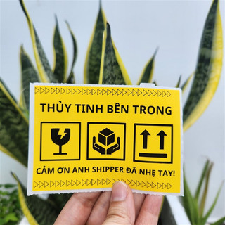 Set 100 tem dán hàng dễ vỡ, nhãn cảnh báo màu vàng có sẵn keo kích thước 7x5cm