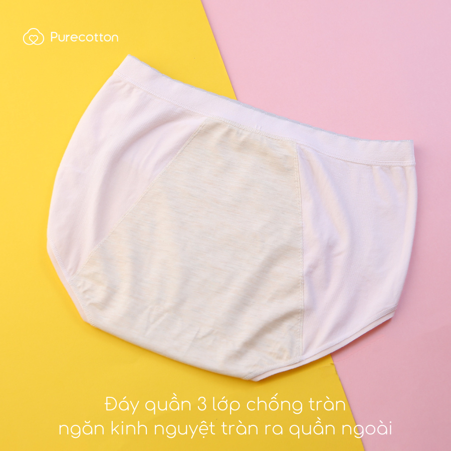Ảnh Quần lót chống tràn nguyệt san Purecotton chất liệu sợi sồi cao cấp Sozoo Paintie PC082 2