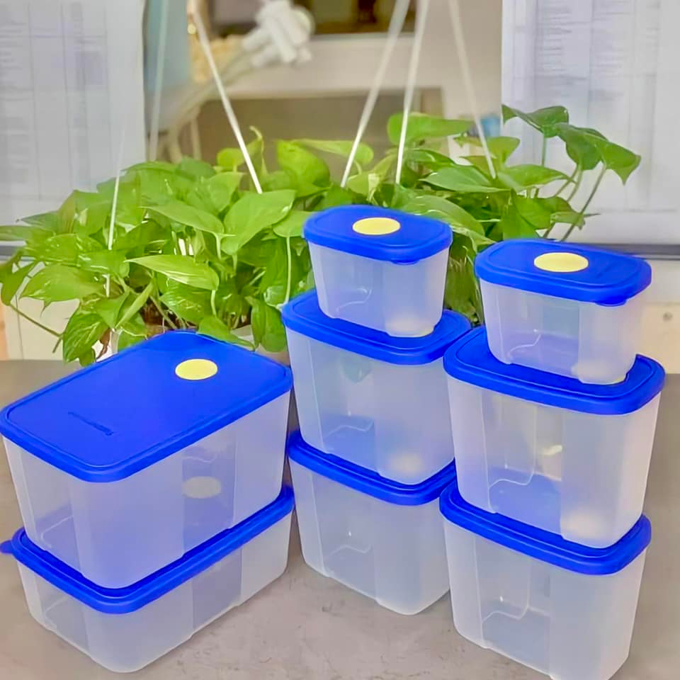 Bộ hộp trữ đông Modern Set Tupperware - Có nút ghi nhớ | Shopee Việt Nam