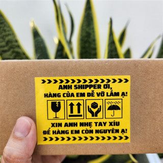 Set 25-50-100 tem dán cảnh báo xin nhẹ tay màu vàng, có sẵn keo kích thước 7x5cm