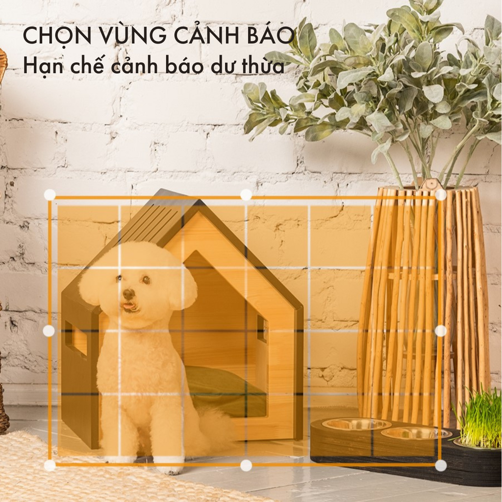 Ảnh Camera Wifi trong nhà Imou Rex 2D I 3MP/5MP | IPC-GS2DP-5C0W I Tua theo điểm | Phát hiện chuyển động 2
