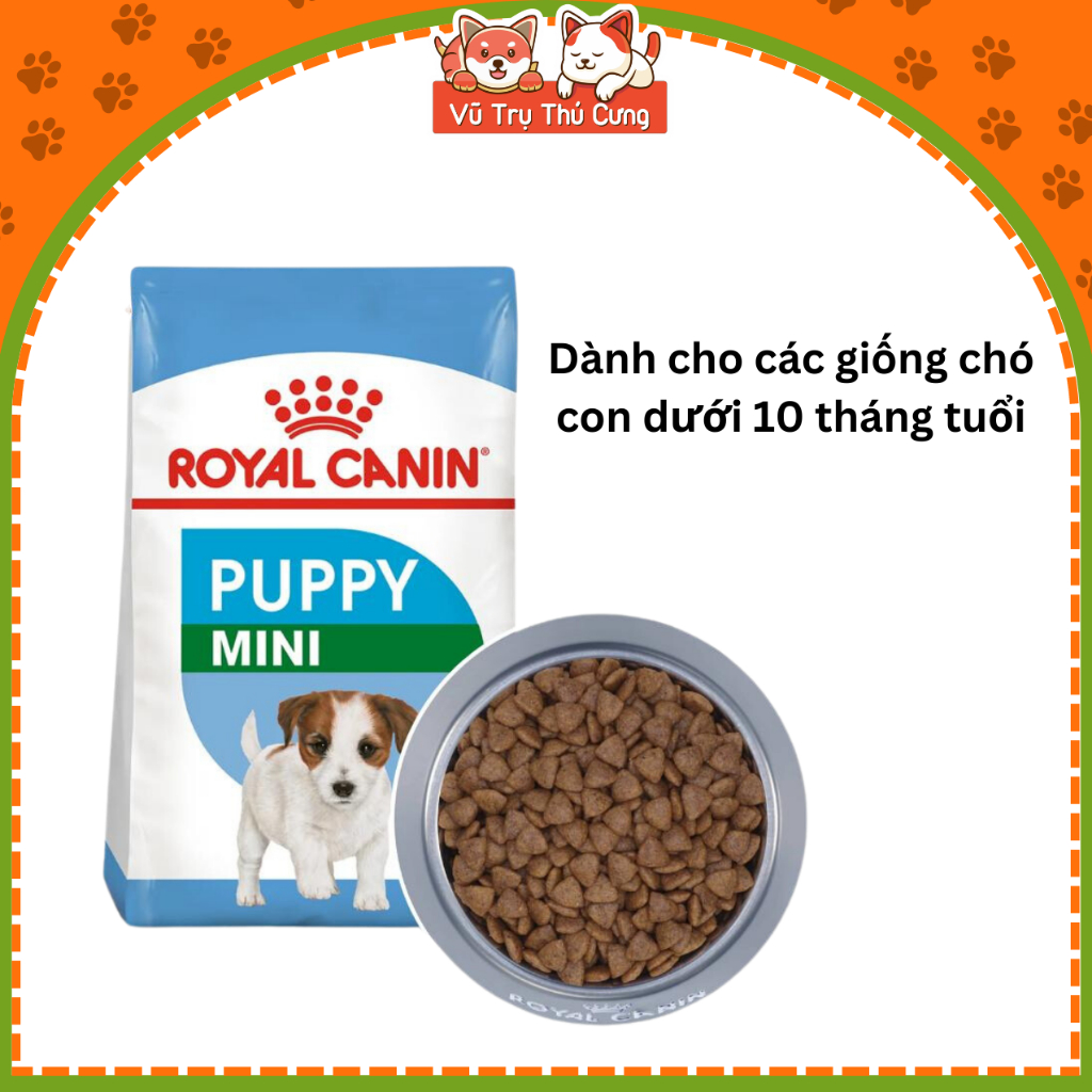 Thức Ăn Hạt Royal Canin Mini Puppy Hỗ Trợ Tốt Hệ Tiêu Hóa Cho Chó Con Dưới 10 Tháng Tuổi