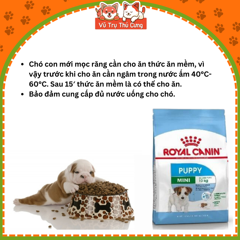 Thức Ăn Hạt Royal Canin Mini Puppy Hỗ Trợ Tốt Hệ Tiêu Hóa Cho Chó Con Dưới 10 Tháng Tuổi