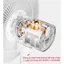 Quạt Cây Đứng 2 Trong 1 7 Cánh, Có Điều Khiển Từ Xa, Motor Đồng Êm Ái, 3 Mức Gió, Hẹn Giờ 1-12H