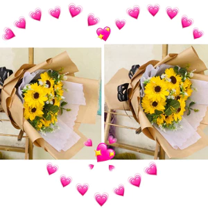 Bó hoa hướng dương tặng quà lễ tốt nghiệp Cao 50cm [ HCM-Q8 ]