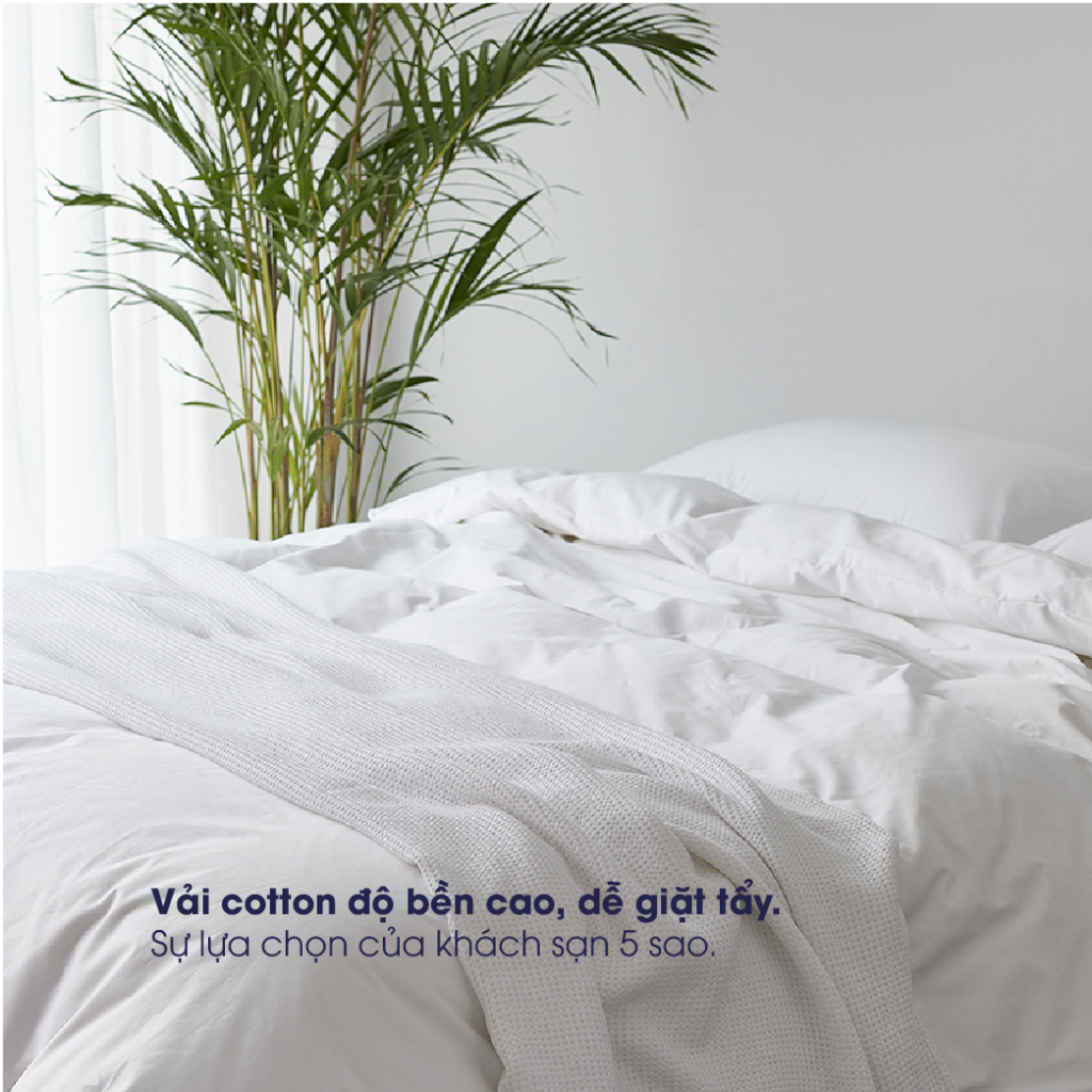 Ảnh Vỏ chăn trắng trơn Changmi Bedding Cotton 100% cao cấp chuẩn khách sạn 5 sao 3