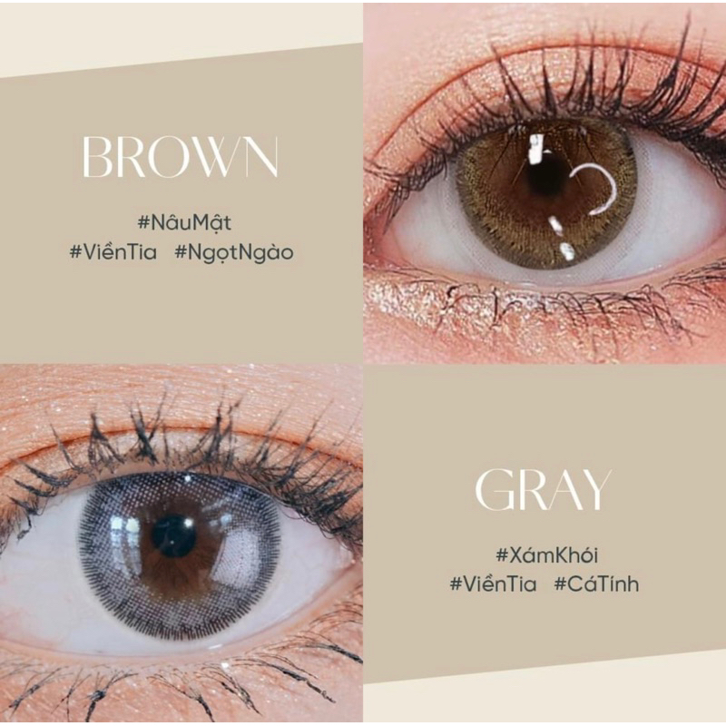 Lens y tế cấp ẩm xám tây XANIA GRAY 14.0mm 6 tháng Hàn Quốc Eyeblink ( Giảm giá 35k khách hàng mới)