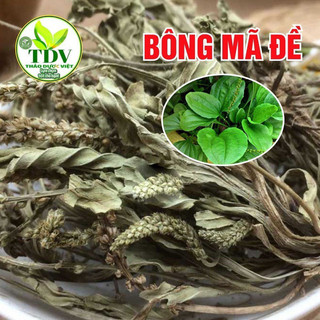 1kg Cây Mã Đề khô nguyên chất Hàng công ty Thảo Dược Việt