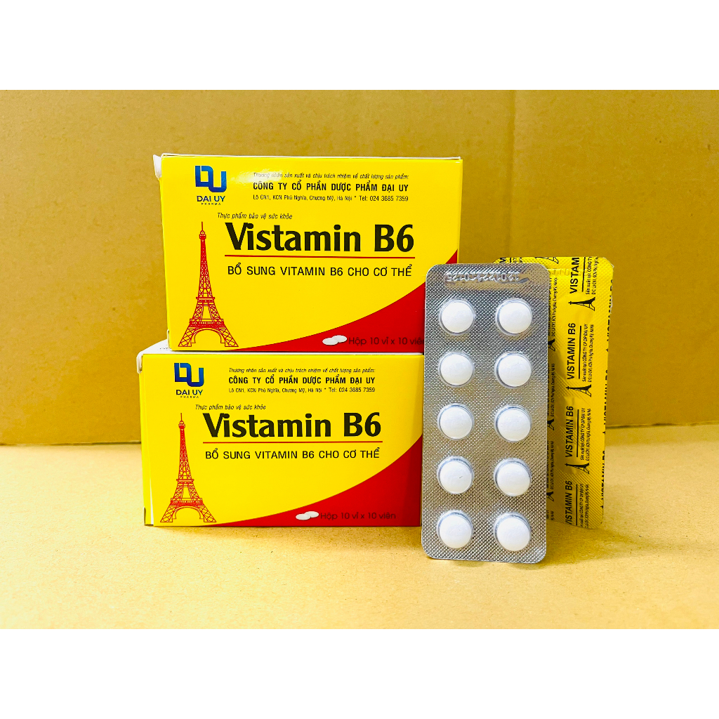 VITAMIN B6 HỘP 100 VIÊN - BỔ SUNG VITAMIN B6 | Shopee Việt Nam