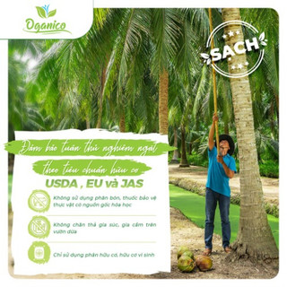 Dầu dừa ép lạnh nguyên chất hữu cơ Vietcoco nấu ăn, dưỡng tóc, dưỡng mày, dưỡng môi vòi nhấn, vòi xịt OGANICO