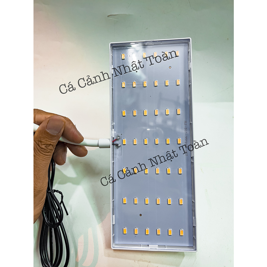 JENECA D16 ĐÈN LED KẸP MINI BỂ CÁ ĐỔI MÀU CÁ KHÔNG ĐỔI MÀU NƯỚC