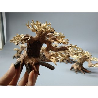 Cây gỗ lũa bonsai cho bể thuỷ sinh mini. Bể kích thước dưới 50 cm
