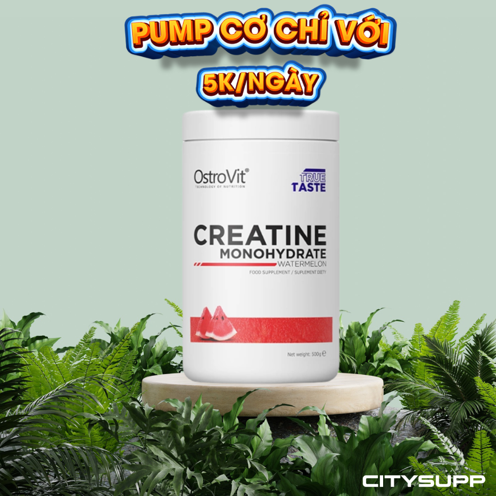 [Chính hãng] Ostrovit Creatine Monohydrate (300g, 500g) Tăng Cơ, Tăng Sức Mạnh & Hiệu Suất Tập Luyện