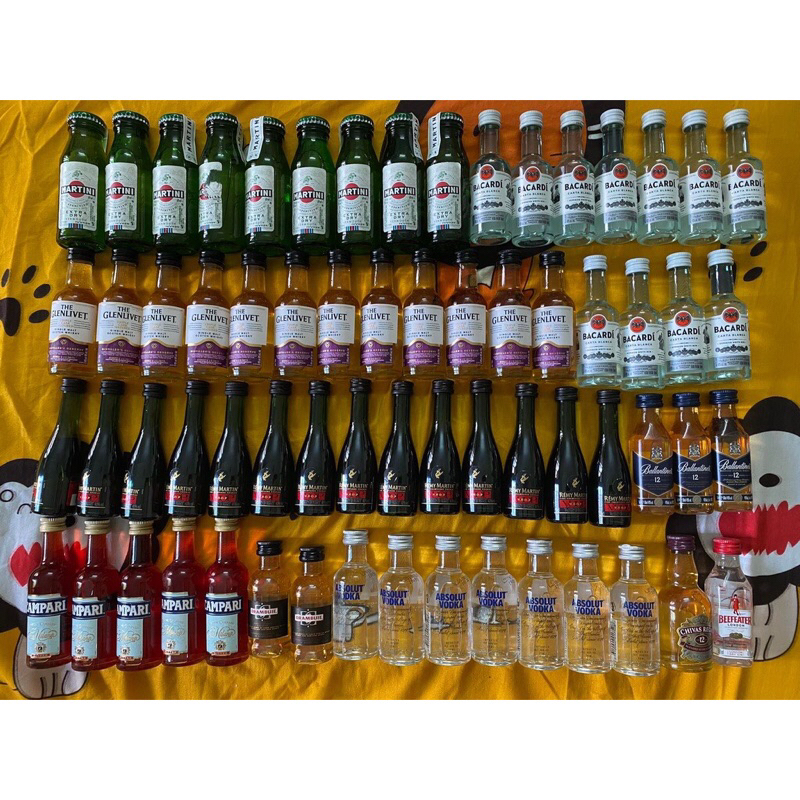 CHAI RƯỢU MINI TRANG TRÍ- QUÀ TẶNG | Shopee Việt Nam