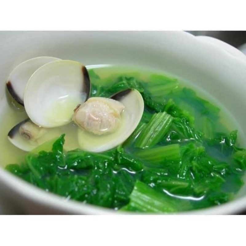 (Sale ComboTiết Kiệm) Hạt Giống Cải Mơ Lùn F1  Gieo Quanh Năm💚 Ăn Ngon 💙 cực năng suất