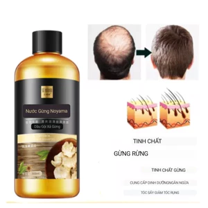 2 chai dầu gội và dầu xả gừng kiểm soát xả chống xơ rối mềm mượt cho tóc bộ combo