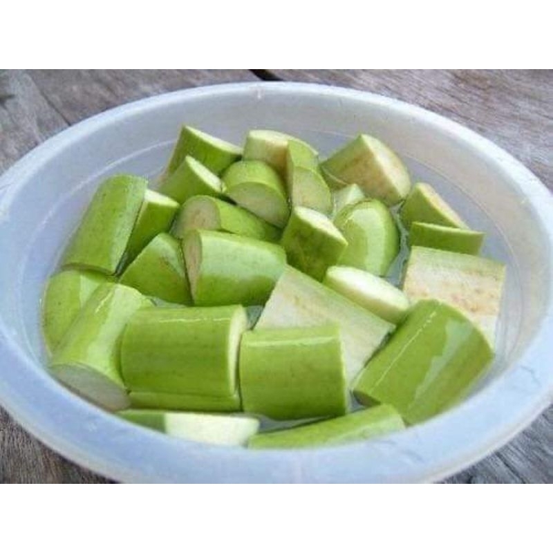 100 hạt giống cà xanh mỡ siêu dài lâu năm sai quả 🍄🤗 Sale Lớn🤗🌹 năng suất cao