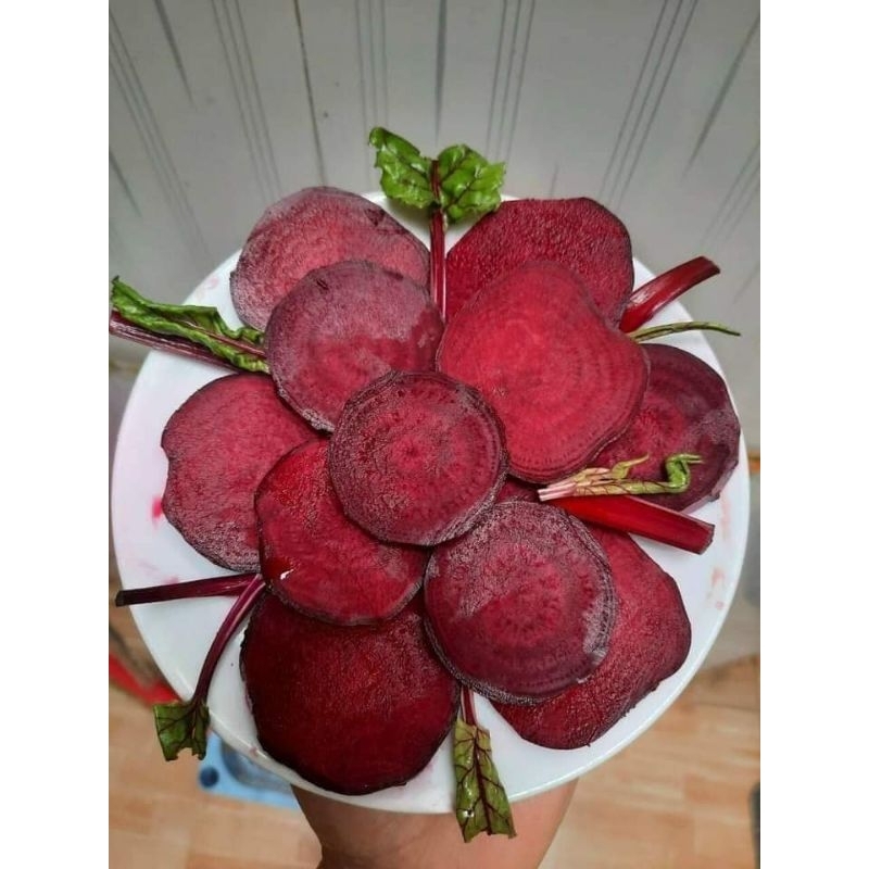 5 gam hạt giống Củ Dền Đỏ , Củ To 💖 NẢY MẦM CỰC ĐỈNH💖 chất lượng cao