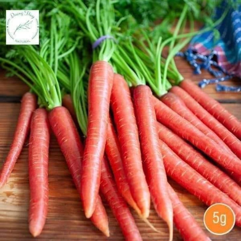 Hạt Giống Cà Rốt  Đỏ Chịu Nhiệt F1 Năng Suất Cao