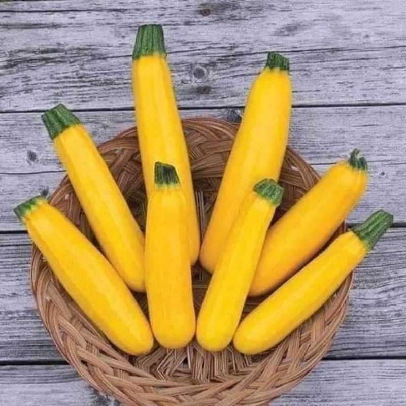 Hạt Giống Bí Ngồi Vàng F1 💥 Chuẩn Xịn💦 Năng Suất Cao
