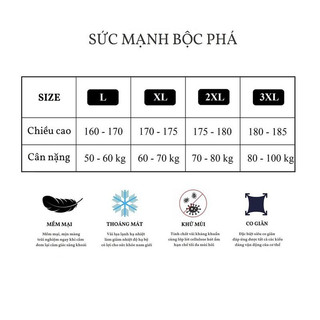 Quần lót nam thun lạnh nhật bản, quần sịp đúc (hàng nhập khẩu)(CN001)