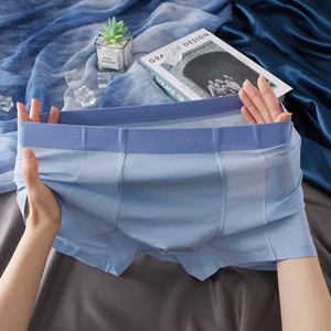 Quần Sịp Boxer Nam Cao Cấp Kháng Khuẩn, Quần Lót Sịp Đùi Nam Cao Cấp(CT002)