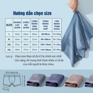 Quần Sịp Boxer Nam Cao Cấp Kháng Khuẩn, Quần Lót Sịp Đùi Nam Cao Cấp(CT002)