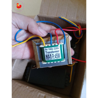 Biến thế 220v ra 110v chạy thiết bị nội địa 45W