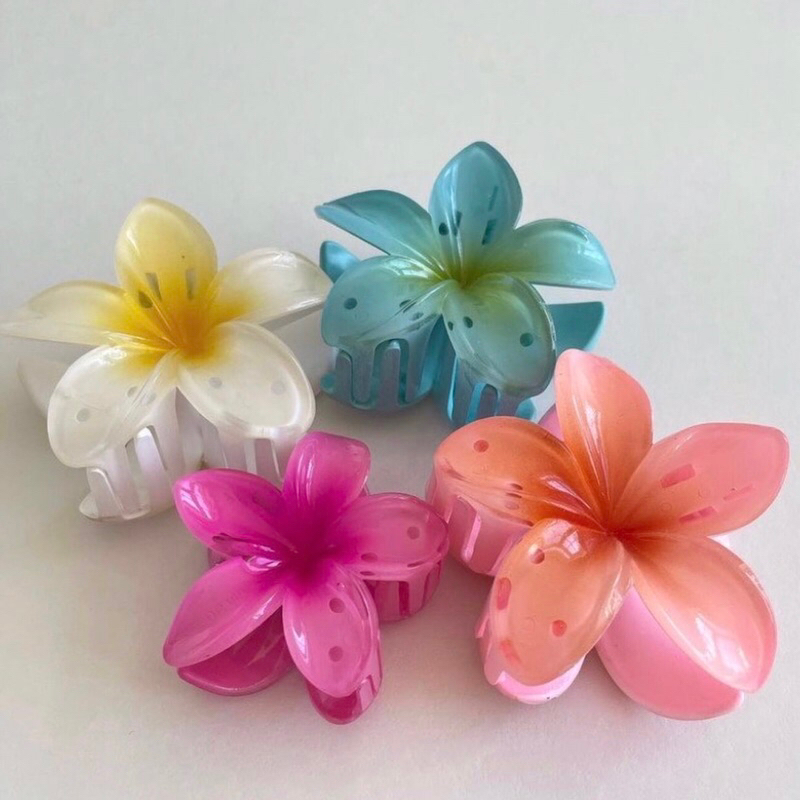Kẹp Tóc Sứ Giá Tốt Tháng 10, 2023 Phụ Kiện Tóc | Mua Ngay Phụ Kiện & Trang  Sức Nữ | Shopee Việt Nam