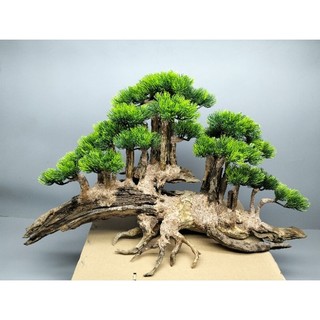 Cây gỗ lũa Bonsai dành cho bể cá cảnh kích thước lớn 70cm trở lên. Có nhiều mẫu