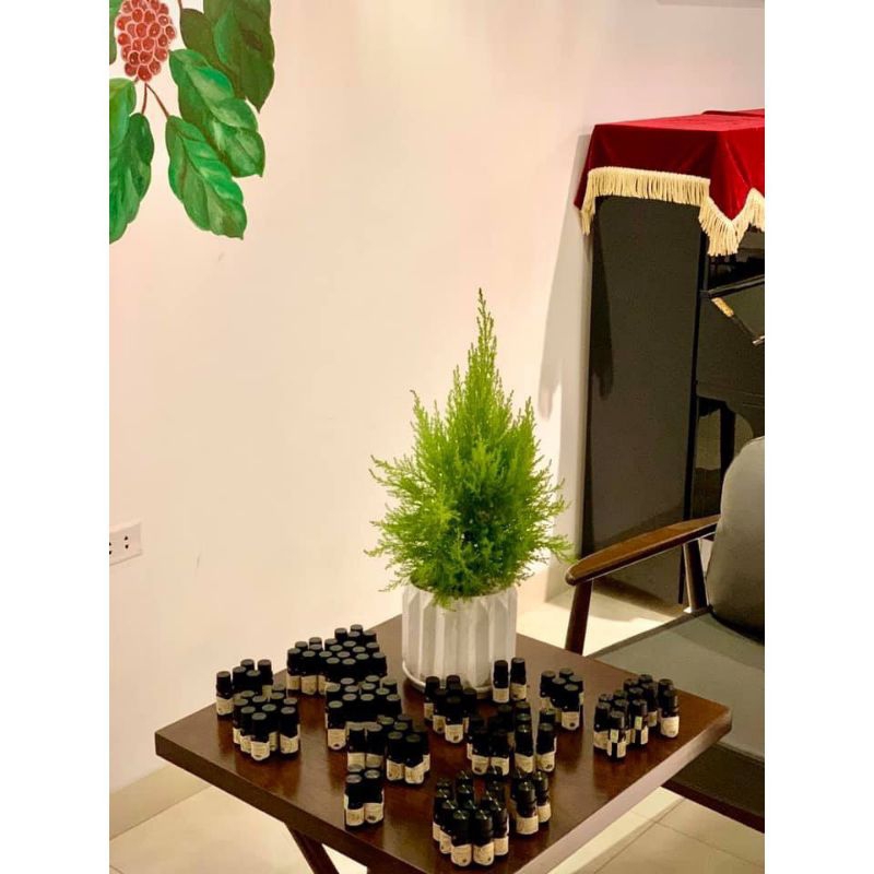 Tinh dầu Bergamot thiên nhiên cao cấp L'aturelle 10ml hương ngọt giúp se da giảm căng thẳng cải thiện hệ thống miễn dịch