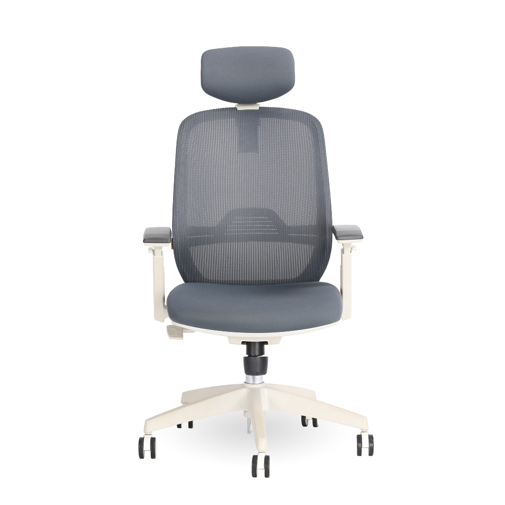 Ghế Công Thái Học DERGO Ergonomic Office Chair Elegant T21 Shopee