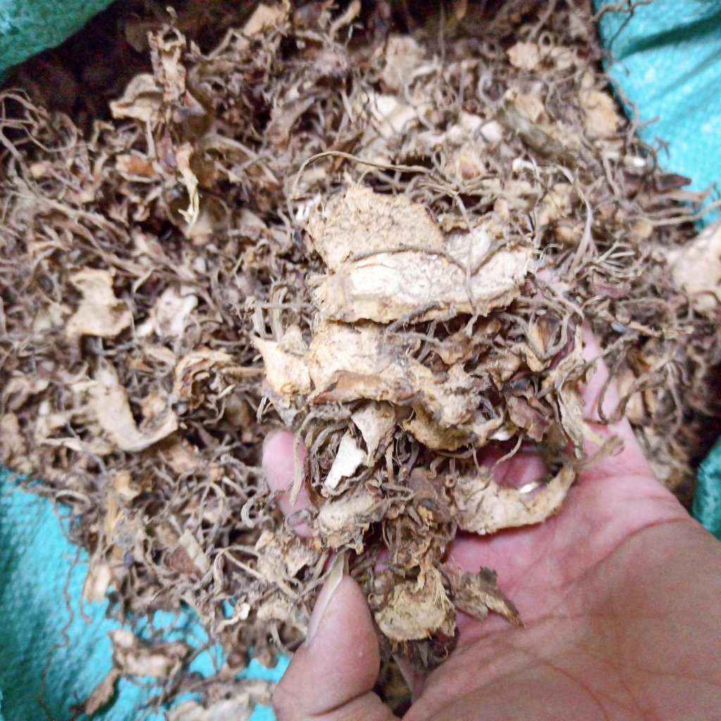 Củ + rễ dong riềng đỏ khô (GÓI 1KG) Tốt cho người mạch vành, xơ vữa ...