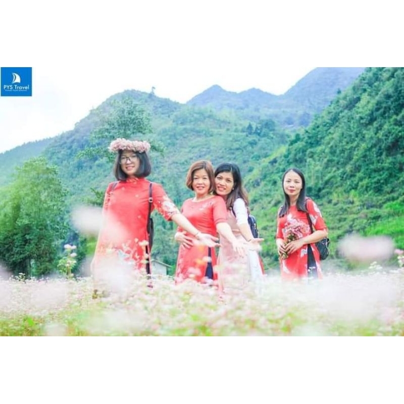🌟 500 Hạt Giống Hoa Tam Giác Mạch🌟 Siêu Dễ Trồng