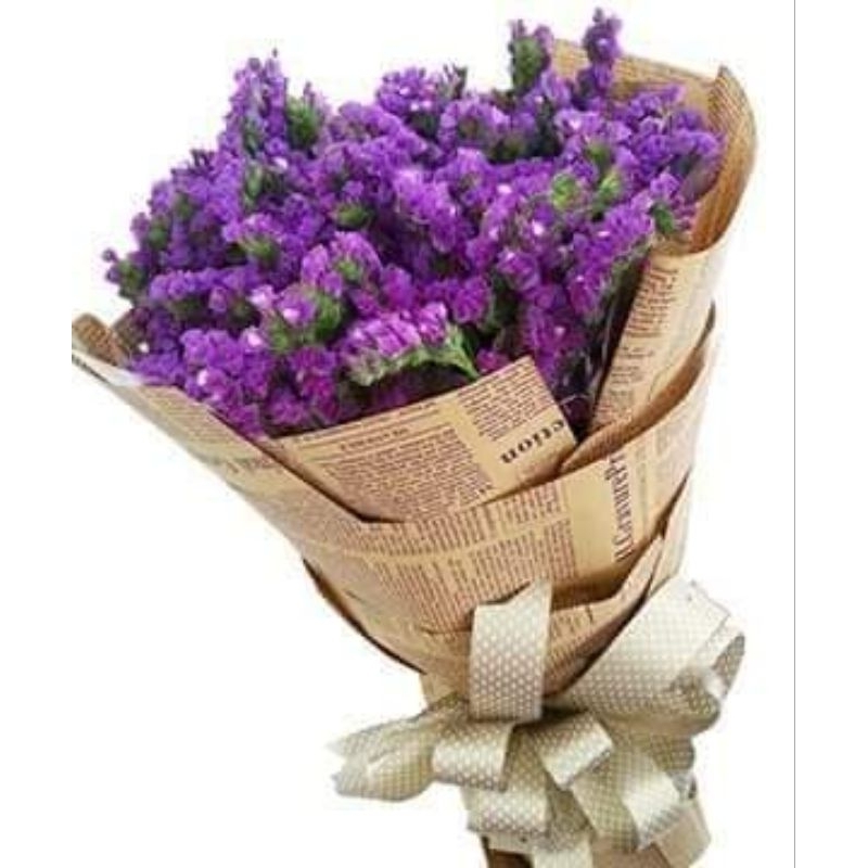 30 hạt giống hoa salem Thái Lan💖 NẢY MẦM CỰC ĐỈNH💖 chất lượng cao