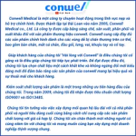 Đai cố định đầu gối cao cấp giúp ổn định giảm đau phòng tránh các biến chứng sau phẫu thuật hoặc sau chấn thương 5760 — ảnh 8