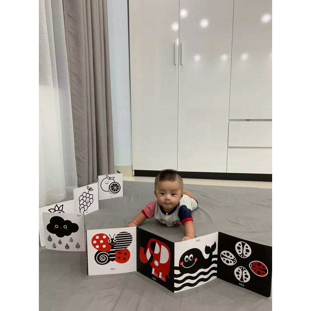 COMBO 3 Bộ Tranh Kích Thích Thị Giác TNBOOKS Cho Bé Từ 0 - 12 Tháng