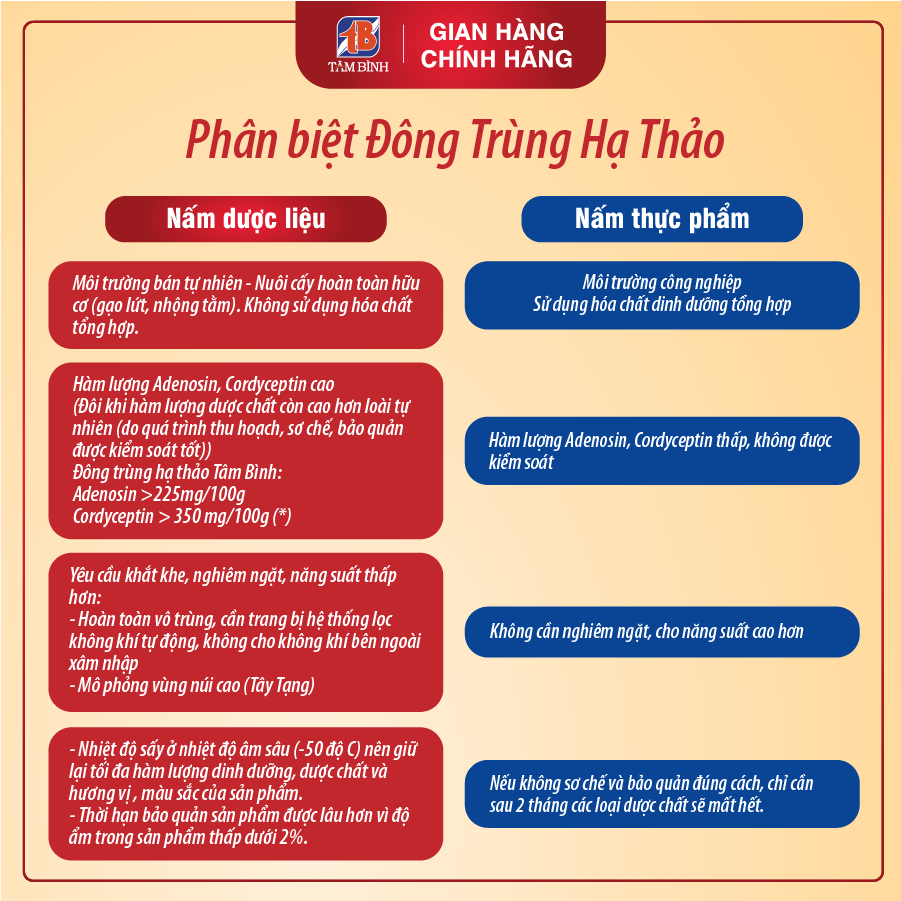 Ảnh Đông Trùng Hạ Thảo Tâm Bình, Món Quà Thượng Hạng Cho Sức Khỏe, Công Nghệ Sấy Thăng Hoa Đạt Chuẩn, Hộp 10g 1