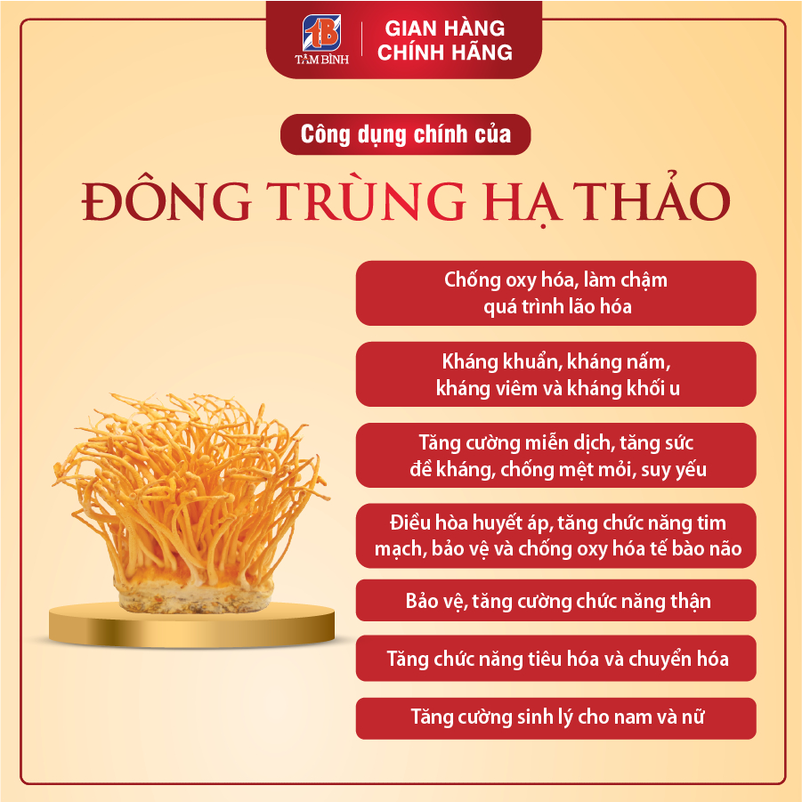 Ảnh Đông Trùng Hạ Thảo Tâm Bình, Món Quà Thượng Hạng Cho Sức Khỏe, Công Nghệ Sấy Thăng Hoa Đạt Chuẩn, Hộp 10g 2