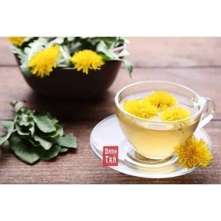 Hạt Giống Bồ Công Anh Vàng Mỹ  💥SALE LỚN💥 chất lượng cao