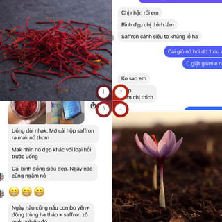 SADHU_NHỤY HOA NGHỆ TÂY (SAFFRON PREMIUM) 1Gr
