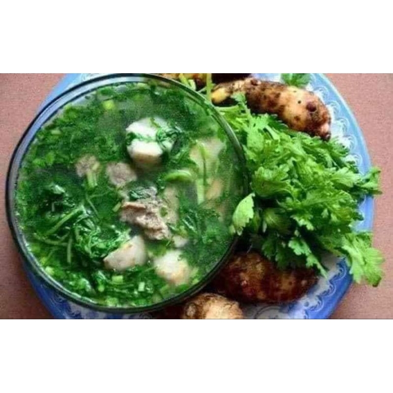 10gr Hạt Giống Cải Cúc Nếp F1 Lá Lớn💦 Chất Lượng Cao