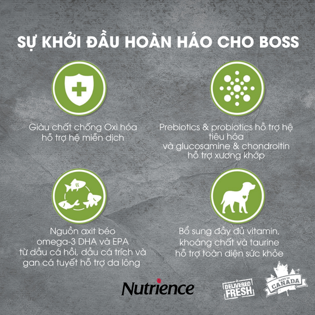 Ảnh Thức ăn cho chó con Nutrience Infusion Healthy Puppy - thịt gà, dầu cá hồi và rau củ trái cây 2.27kg 2