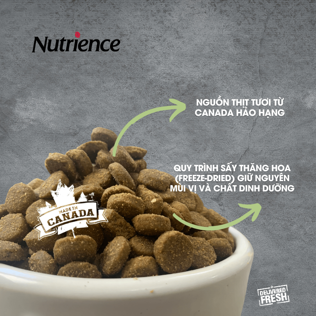 Ảnh Thức ăn cho chó con Nutrience Infusion Healthy Puppy - thịt gà, dầu cá hồi và rau củ trái cây 2.27kg 3