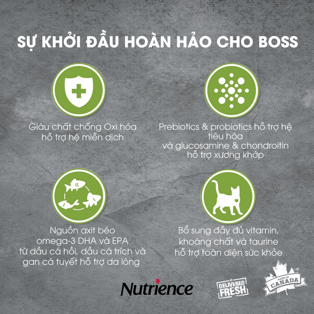 Ảnh Thức Ăn Cho Mèo Con Nutrience Infusion Healthy Kitten - thịt gà, dầu cá hồi và rau củ quả 2.27kg 2