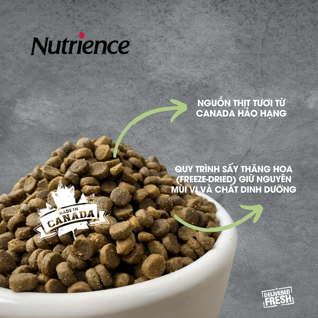 Ảnh Thức Ăn Cho Mèo Con Nutrience Infusion Healthy Kitten - thịt gà, dầu cá hồi và rau củ quả 2.27kg 3