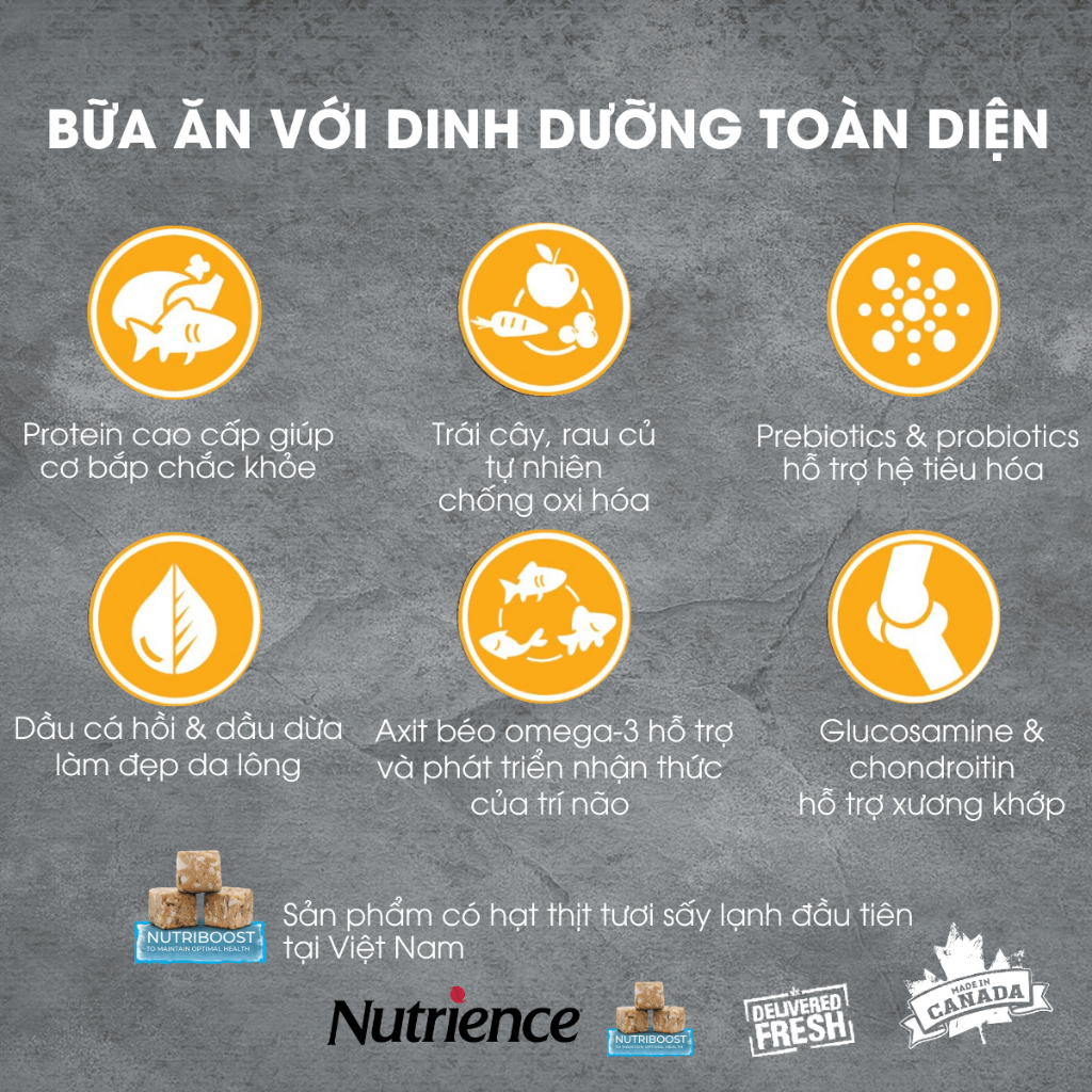 Ảnh Hạt cho chó Nutrience Subzero Grain-free - gà tây, cá hồi, cá trích, cá tuyết và rau củ quả 500g 4