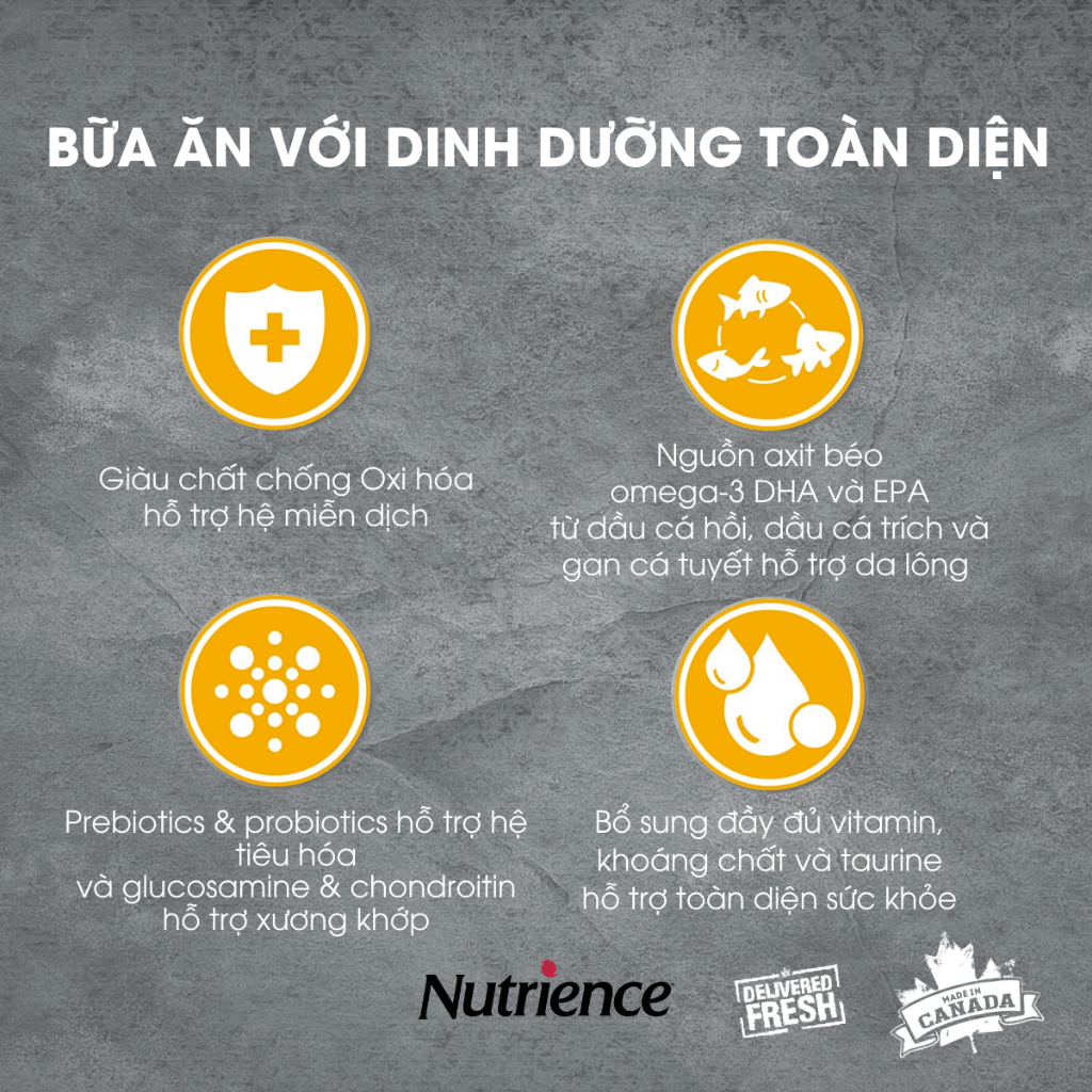 Ảnh Thức ăn cho chó nhỏ Nutrience Infusion Adult Small Breed - thịt gà và rau củ trái cây tự nhiên 500g 2